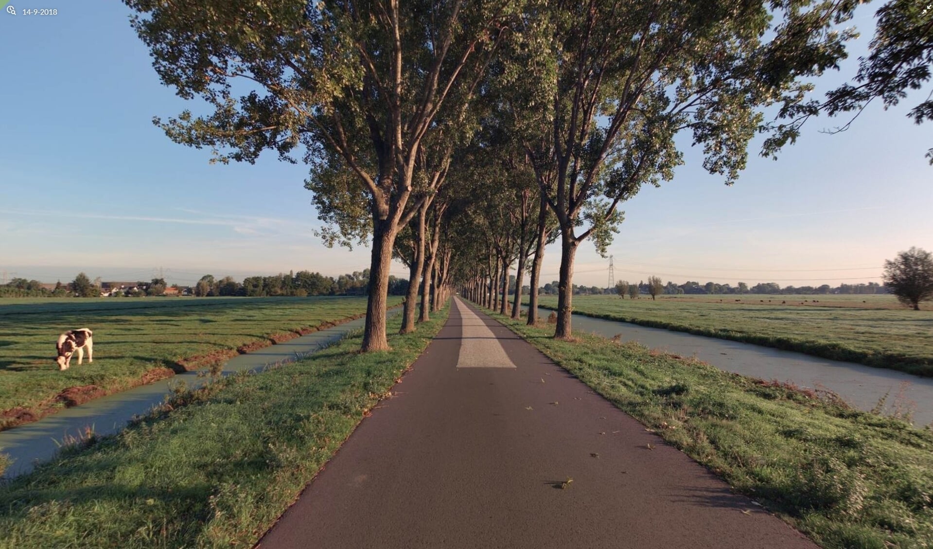 • De Vlietweg in Bleskensgraaf, waar 36 bomen worden vervangen.