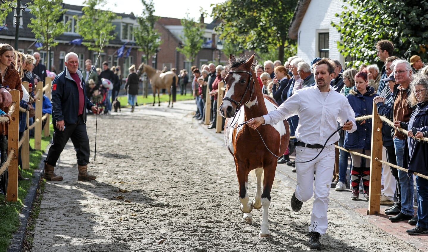 • Paardenmarkt Ameide 2019.