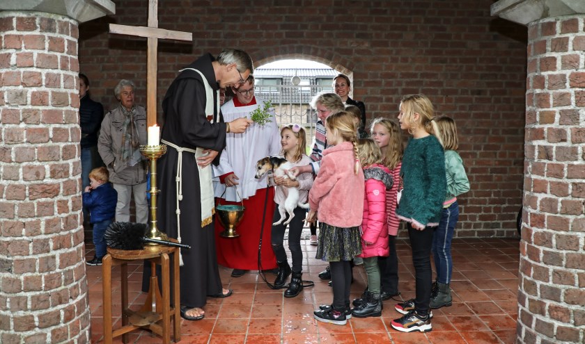 • Hondjes, maar ook een pony en een paard werden gebracht om te laten zegenen.
