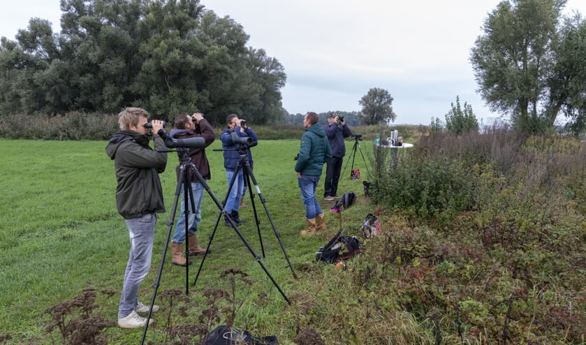 • Trektelteam De Groesplaat in actie.