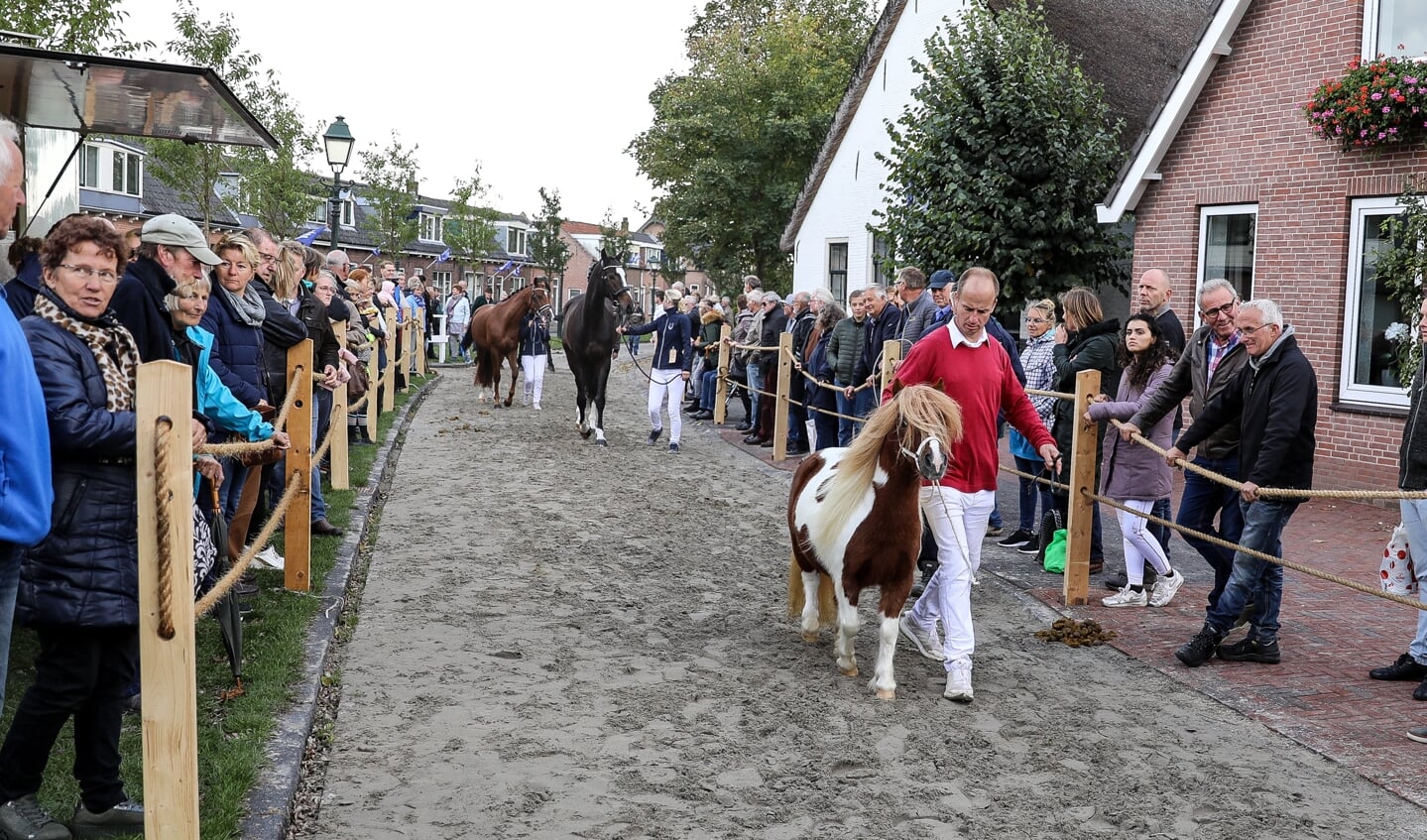 • Paardenmarkt Ameide 2019.