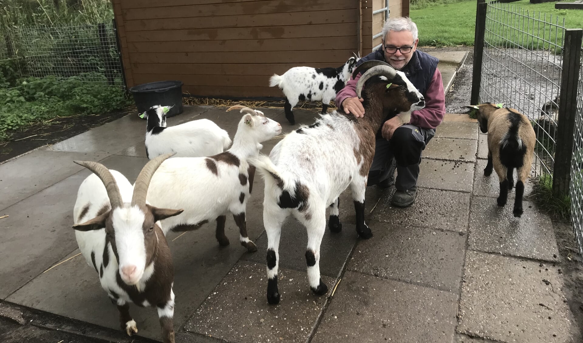 Jan Potters was een van de initiatiefnemers van de oprichting van de Kinderboerderij in Werkendam. De geitjes vindt hij zelf de leukste beesten.