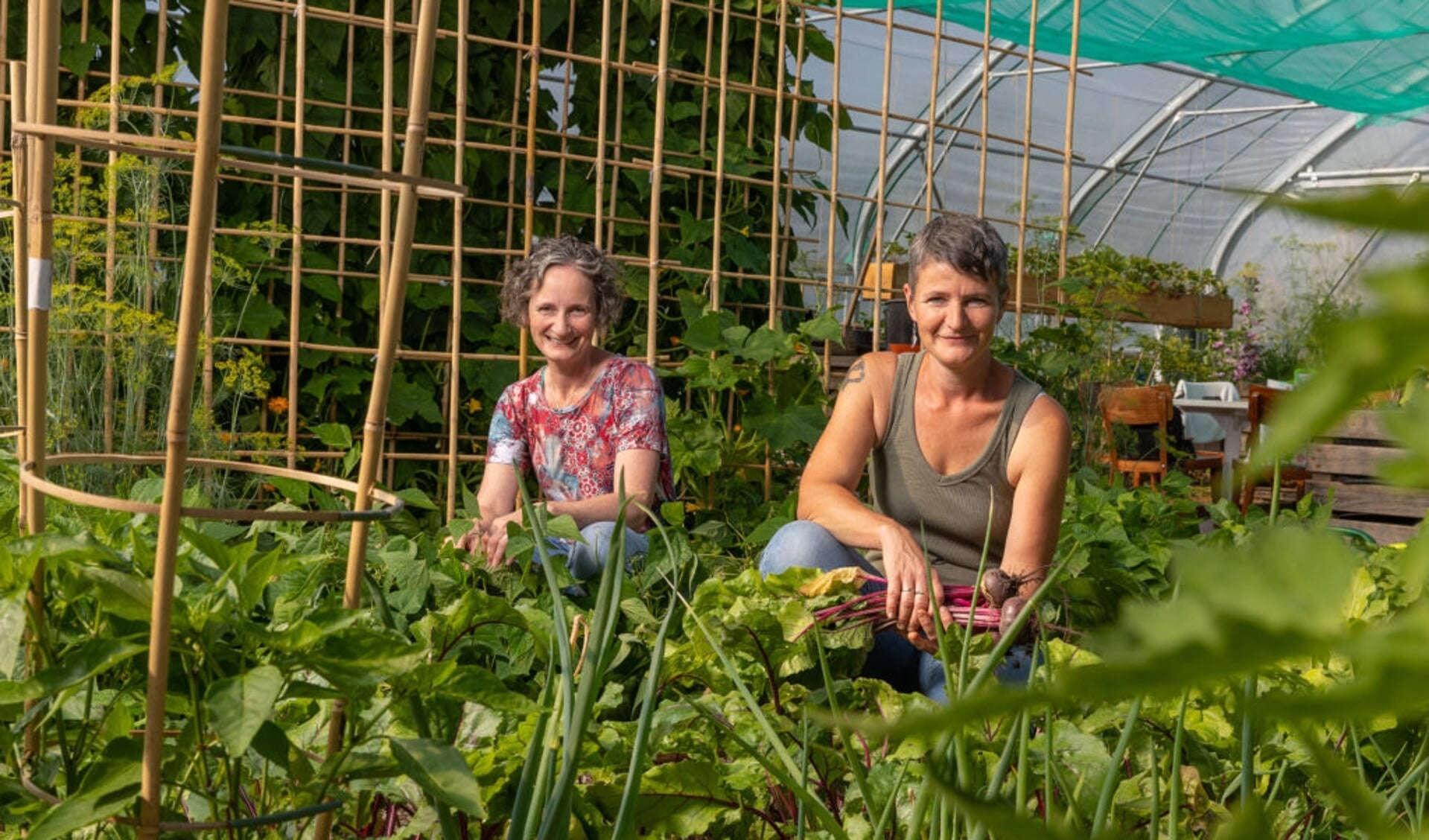• Tineke en Jeanette kweken biologische groenten voor Symbiose.