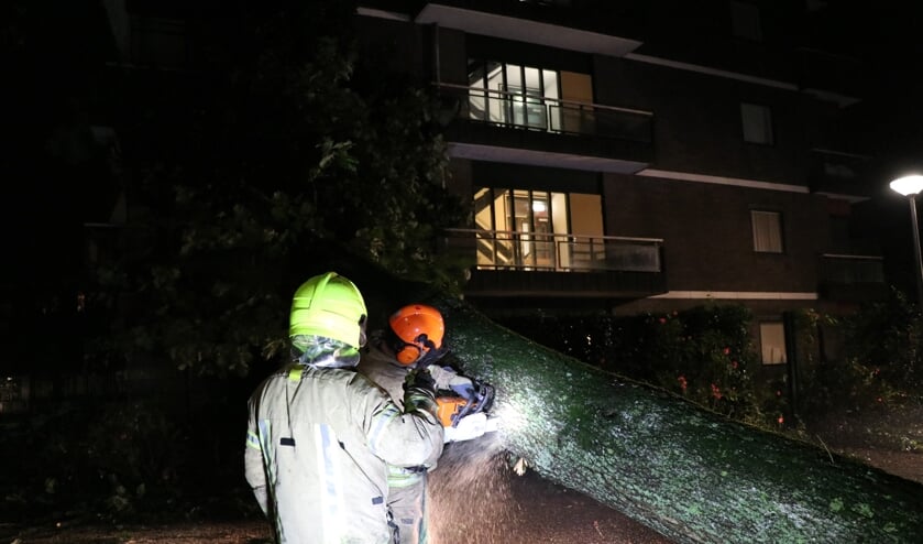 • Brandweerlieden zaagden de omgevallen boom in stukken.