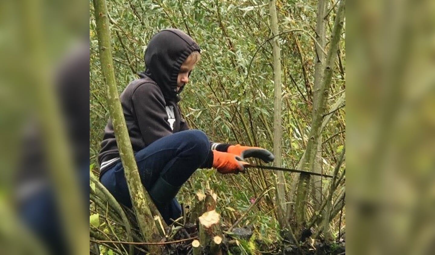 • Jaarlijks helpen de leerlingen van Curio prinsentuin andel mee met het knotten van wilgen in de Biesbosch.