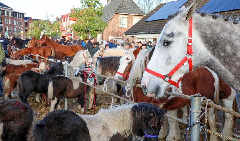 300 jaar Paardenmarkt