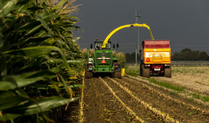 • De winnende foto van Arie van der Wulp.