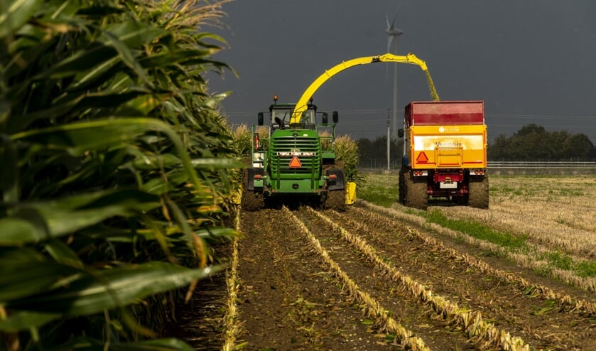 • De winnende foto van Arie van der Wulp.