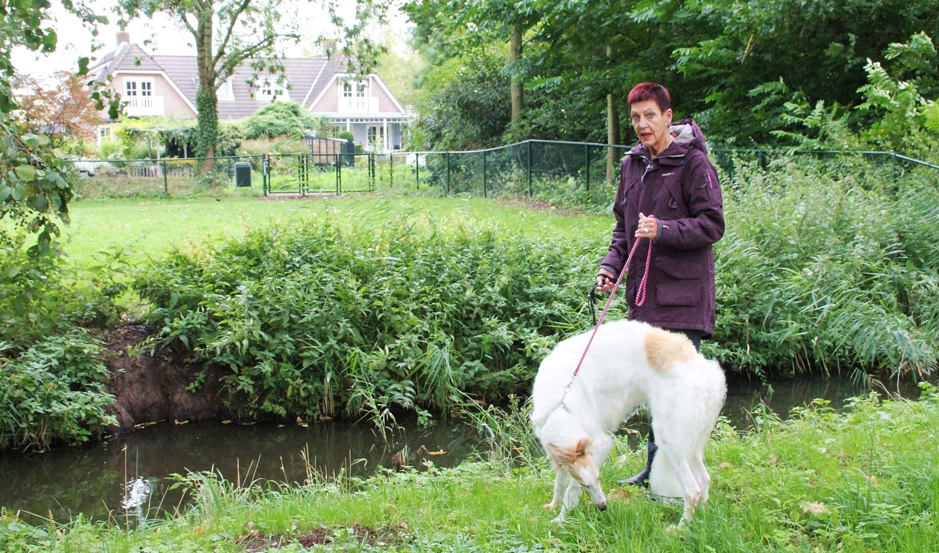 • Anneke met een van haar honden. Op de achtergrond de sloot en het uitrenveld.
