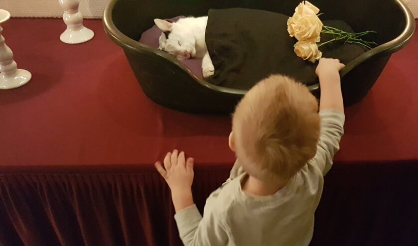 Bebe met zijn baasje van 2,5.