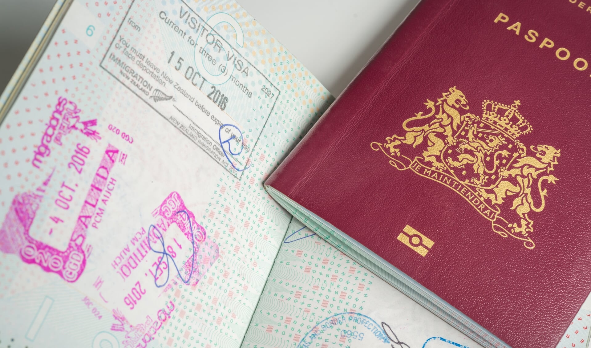 • Stockfoto van Nederlandse paspoorten.