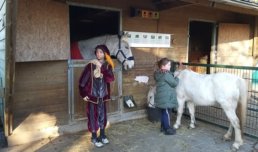 • Het paard was niet alleen, maar had ook een pony meegenomen.