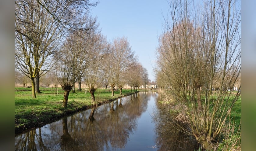 • Sloot in het werkgebied van het hoogheemraadschap van Schieland en de Krimpenerwaard.