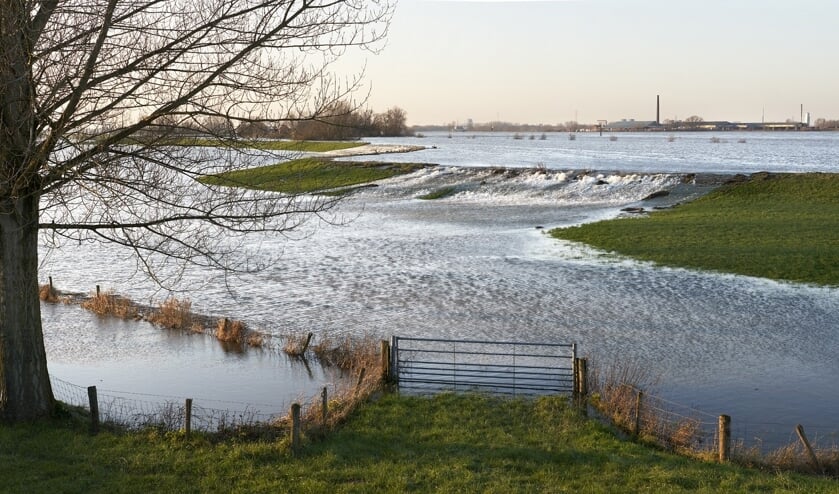 • Een zomerdijk in de buitenpolder.