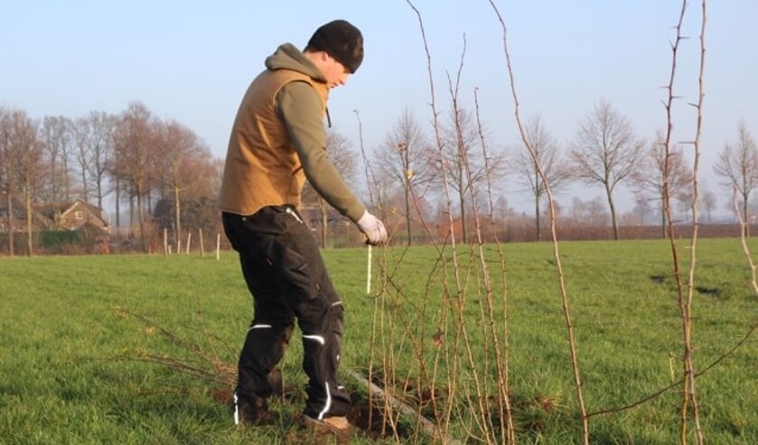 Doe mee en plant! 100.000 bomen en struiken in Gelderland.  