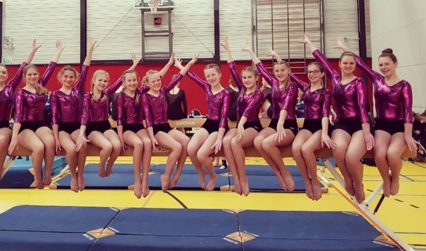De turnsters uit de 5e divisie.
