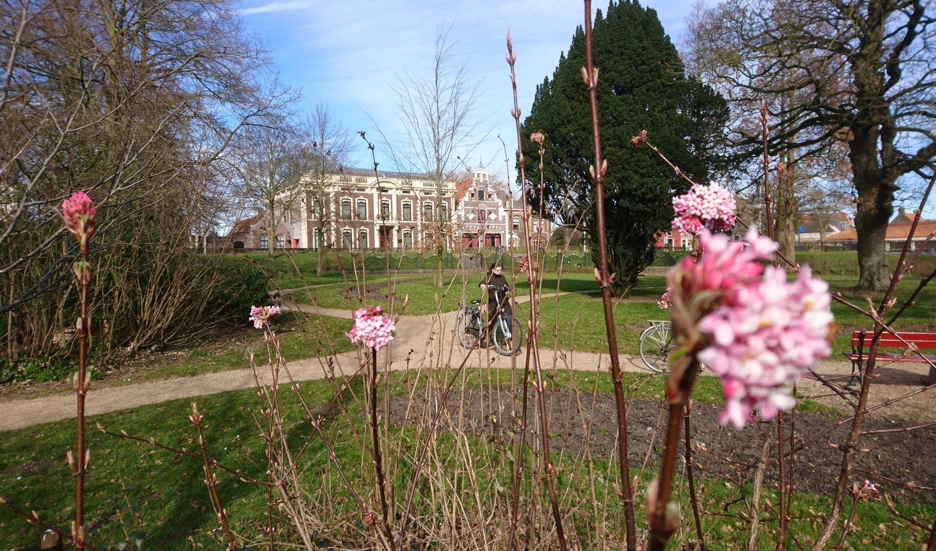 • Uitzicht op museum Bisdom van Vliet vanuit de overtuin.