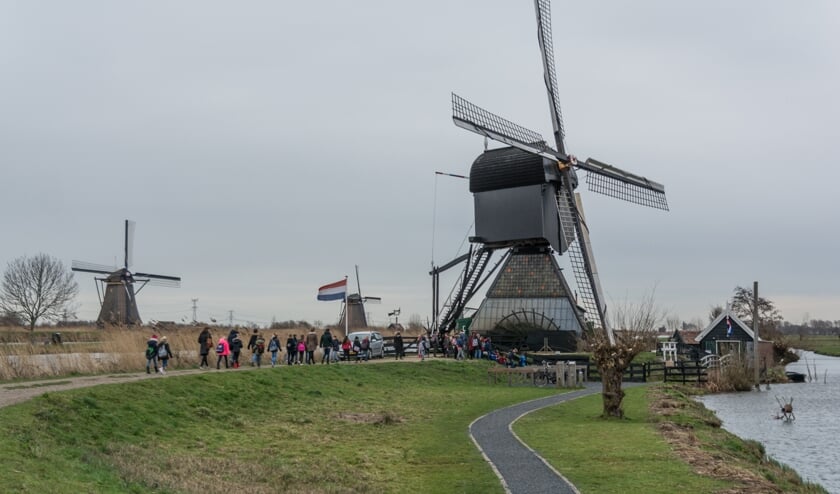 Groepen 5 en 6 naar Kinderdijk