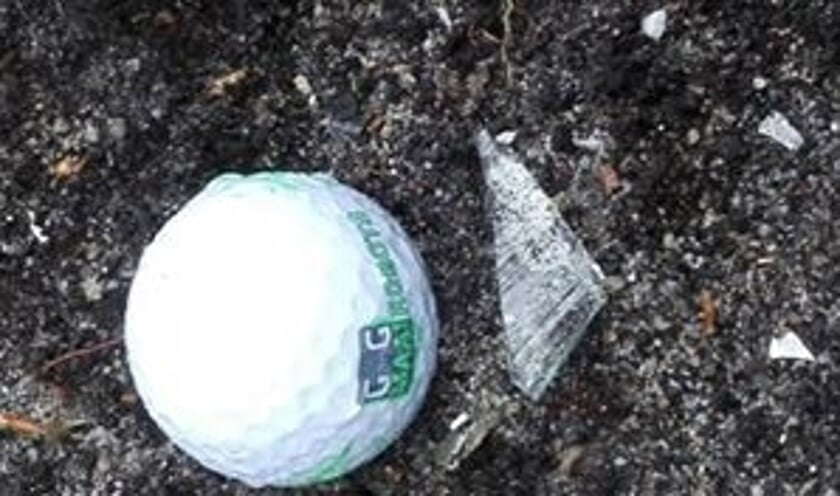 • Een van de gegooide golfbal, niet de golfbal die Inge geraakt heeft.