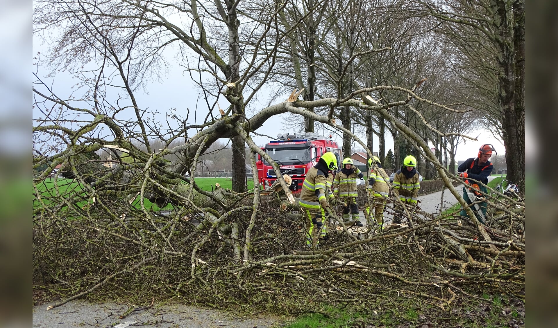 • Brandweerlieden uit Herwijnen waren druk met het opruimen van de boom.