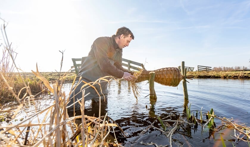 • De eendenkorven worden boven het water geplaatst.
