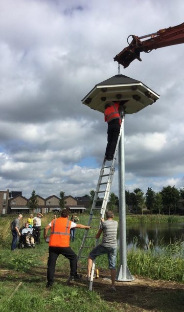 De zwaluwtil in Sleeuwijk.
