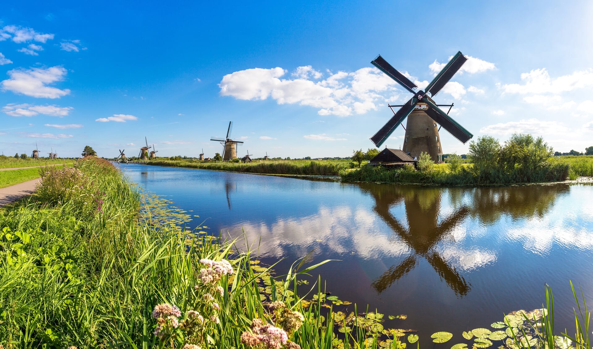 Windmills and water canal in Kinderdijk in a beautiful summer day, Holland