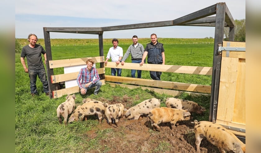 Varkenstractor voor Bommels Bakhuys