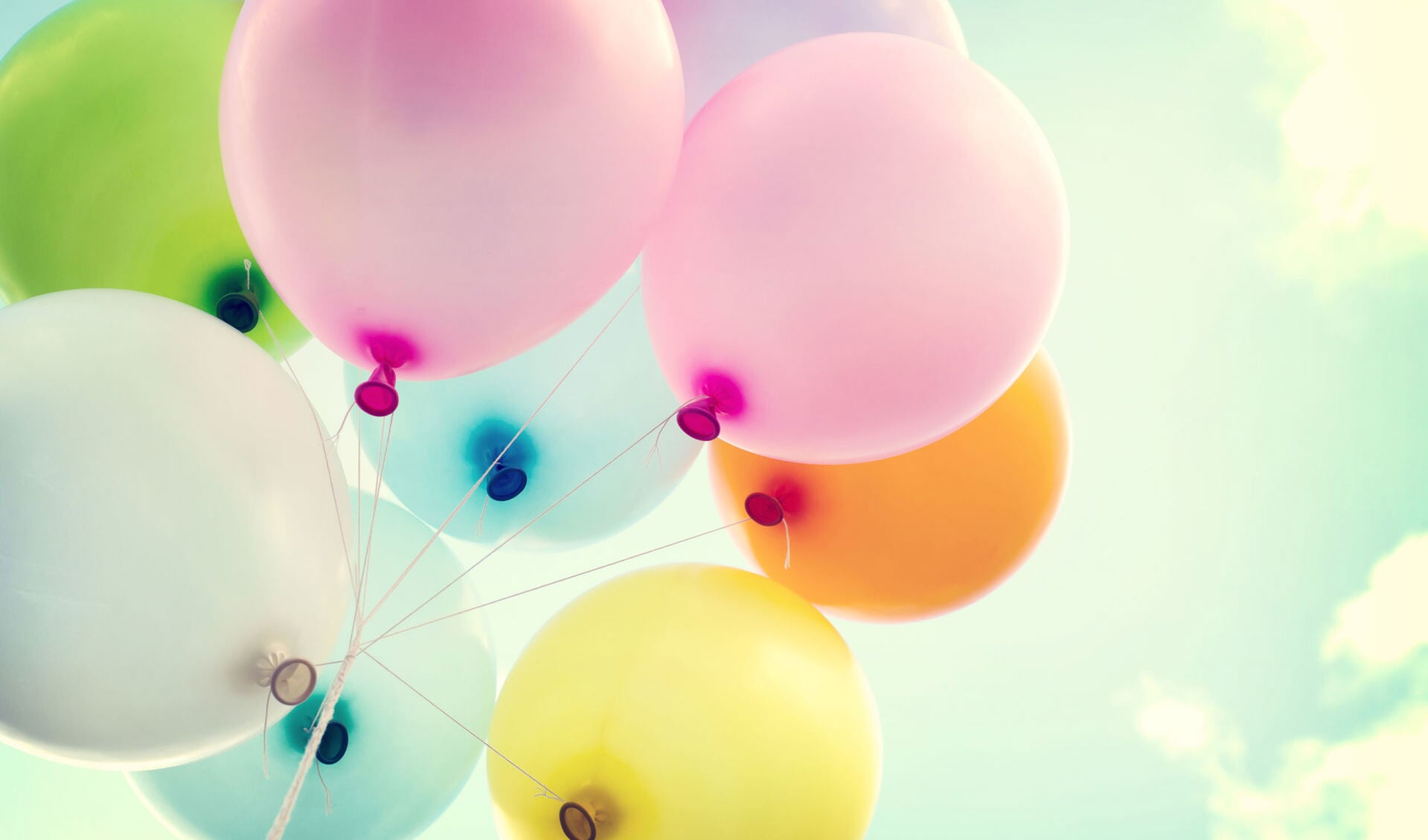 • Het oplaten van ballonnen is niet meer toegestaan in Krimpenerwaard.