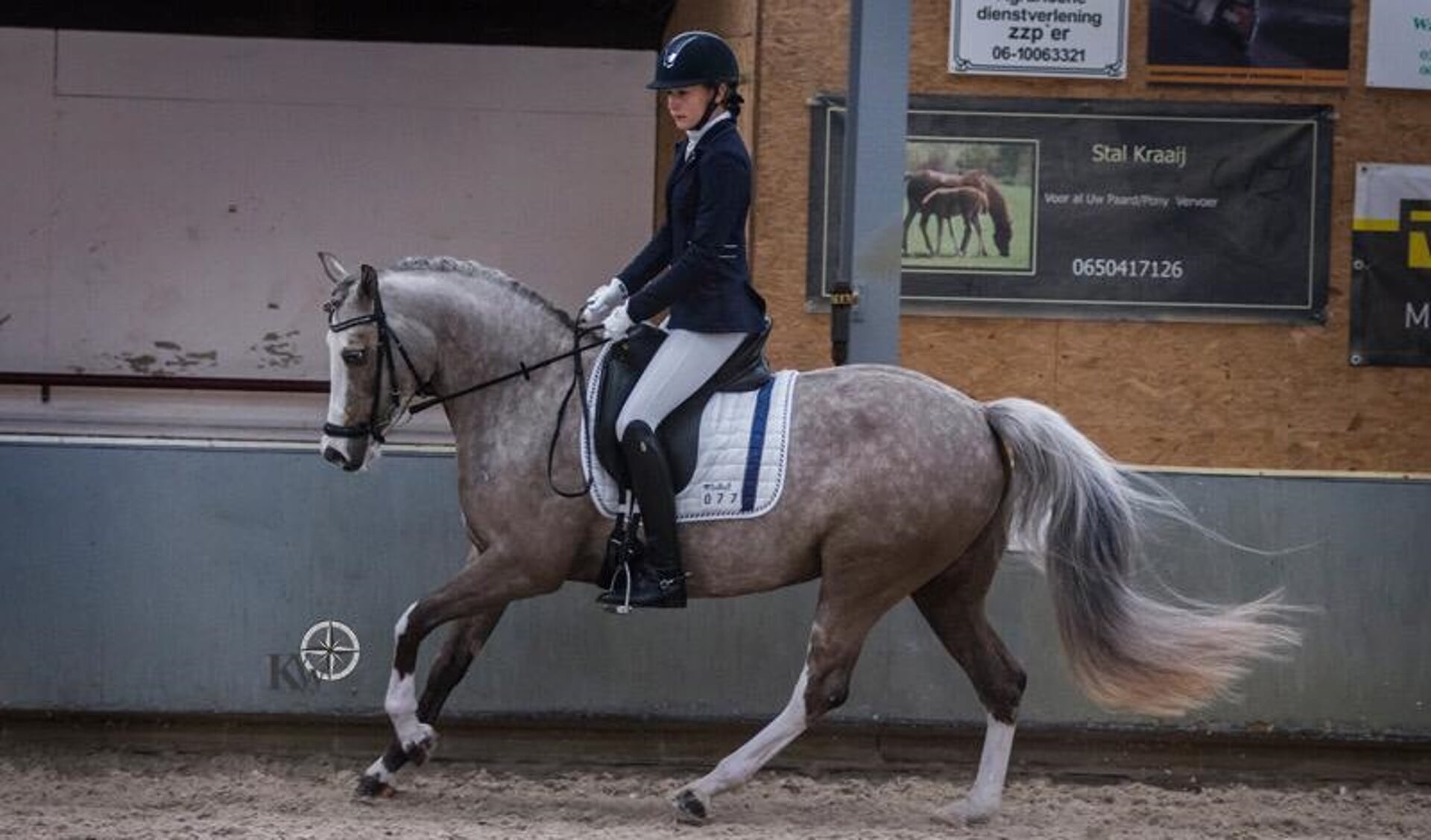 • Rosanne van Kessel reed met haar pony Gaudhy in de klasse M2 Pony’s tweemaal naar de overwinning.