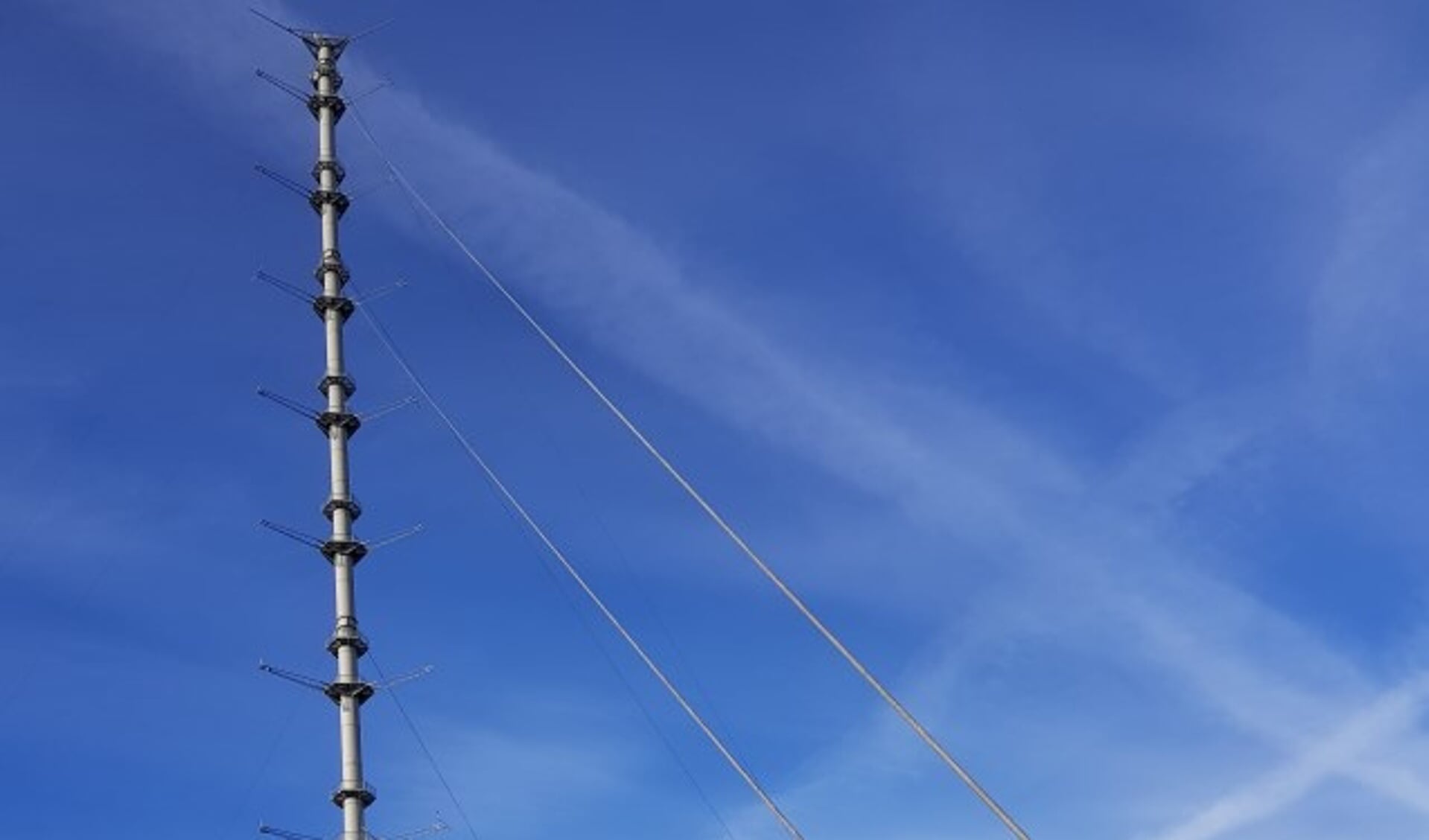 De twaalf kabels van de Cabauwse snuffelpaal, die twee ton per stuk wegen, zijn aan het einde van hun levensduur. (Foto: PR)