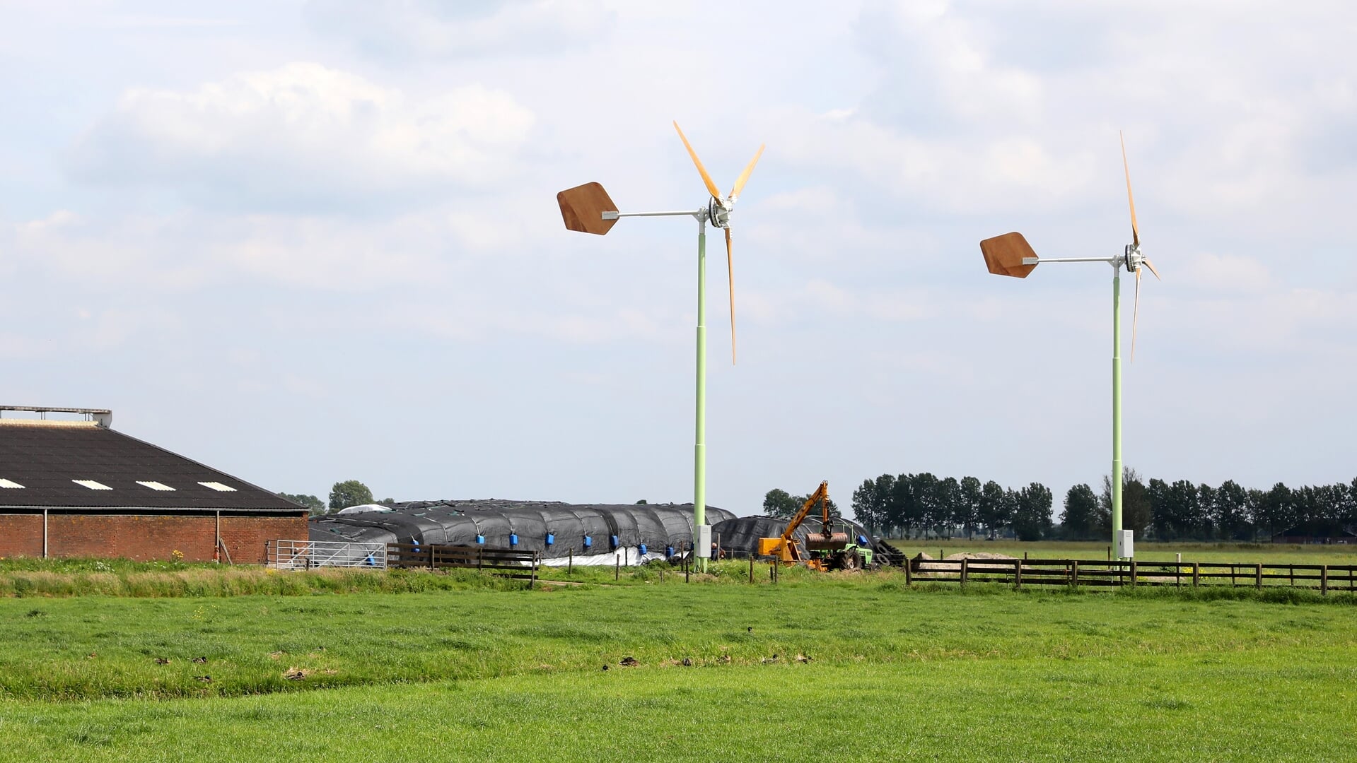 • Kleine windmolens in Groot-Ammers.