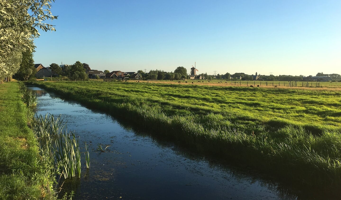 • De locatie Bleskensgraaf West.