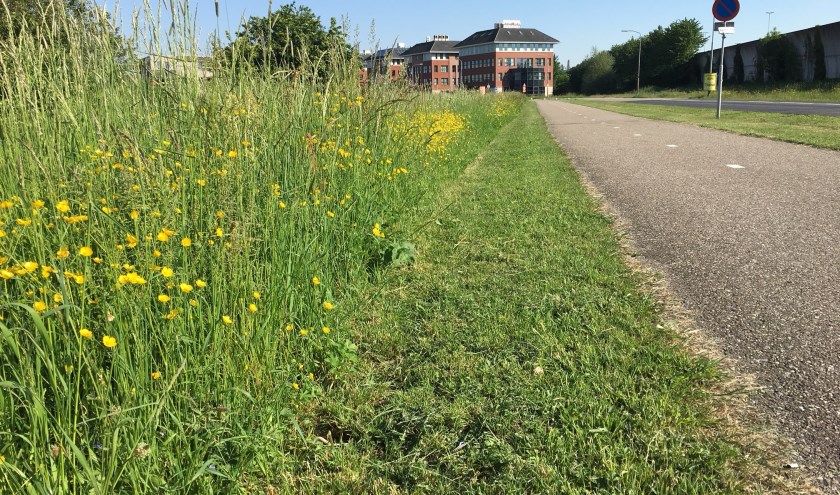 • Deels gemaaide berm langs de Oude Bosscheweg in Zaltbommel.