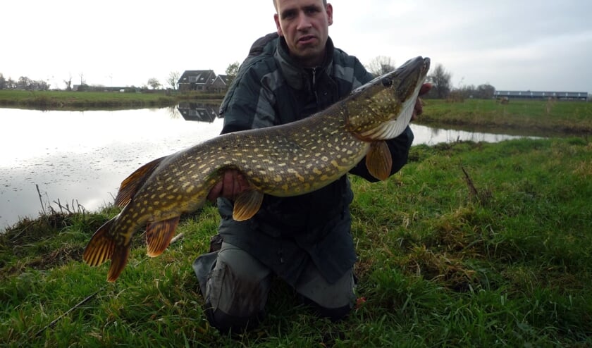 • Wilbert Mostert met een kanjersnoek.