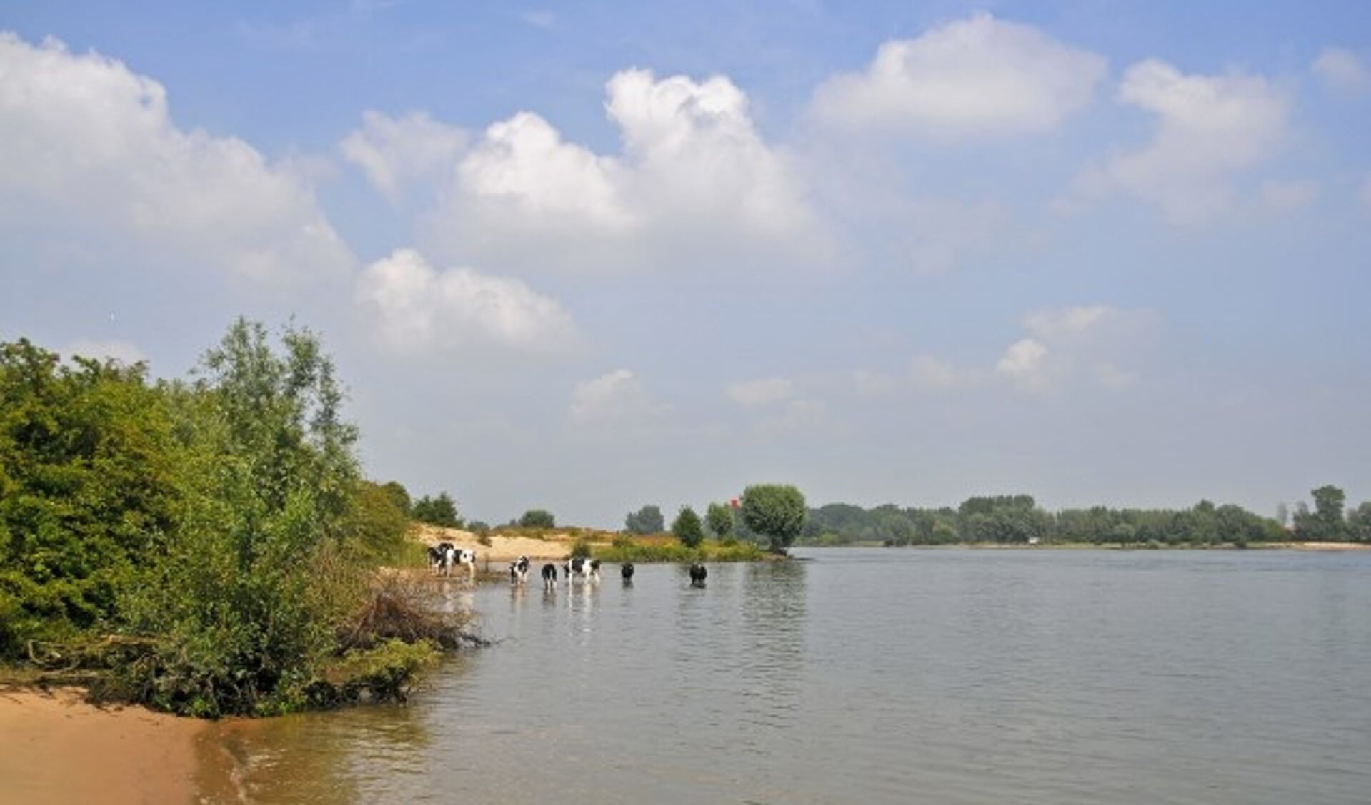 De gidsen van Staatsbosbeheer laten de deelnemers de mooiste plekken op het buitendijkse riviereiland in de Lek zien. (Foto: Staatsbosbeheer)