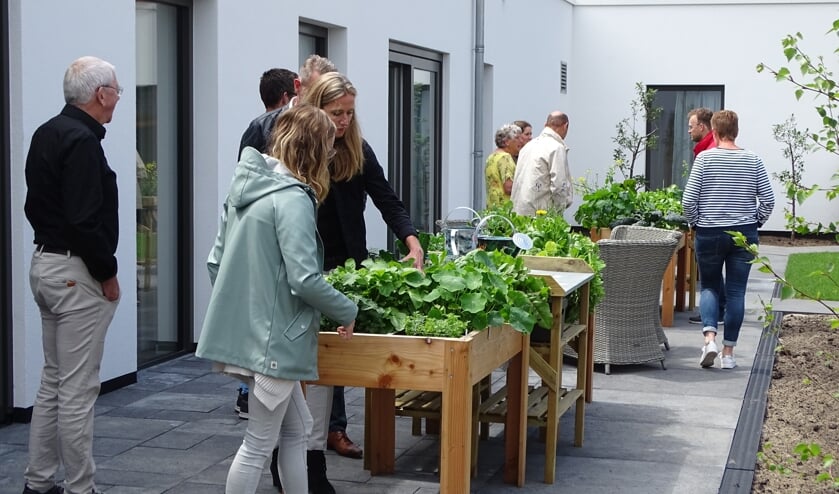 • Bezoekers bij de moestuinbakken.
