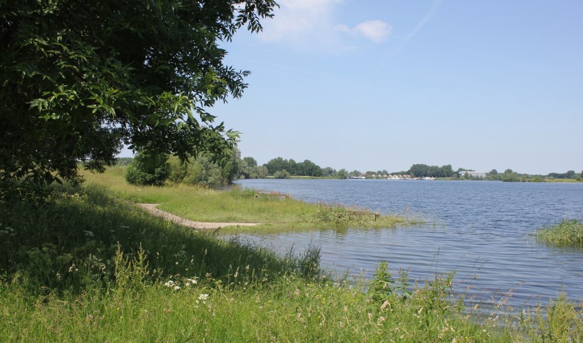 • De Maas bij Hoenzadriel.