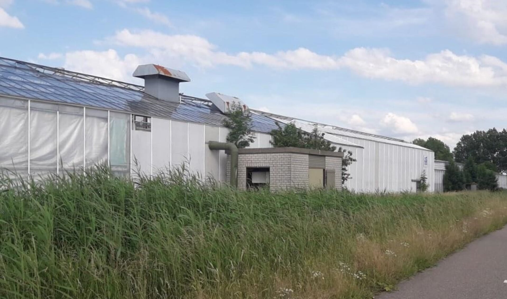 Het leegstaande kassencomplex van chrysantenkwekerij De Ruigenhoek in Woudrichem.