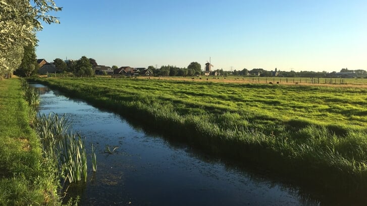Afbeelding