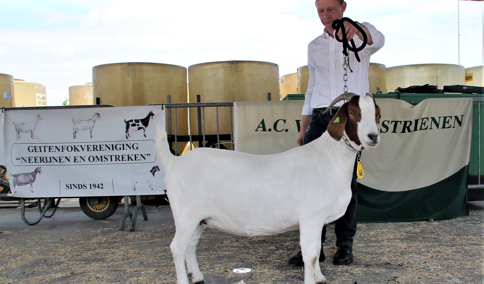 Amira werd uitgeroepen tot dagkampioen geiten tijdens de keuring van geitenfokvereniging Neerijnen en Omstreken.