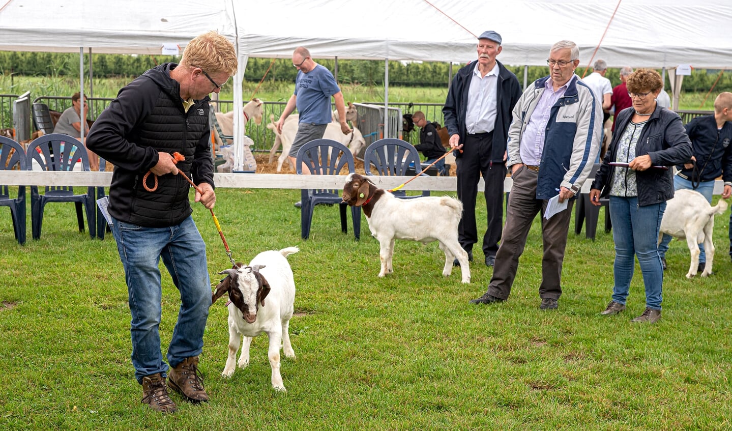 Bokkenkeuring in Lexmond