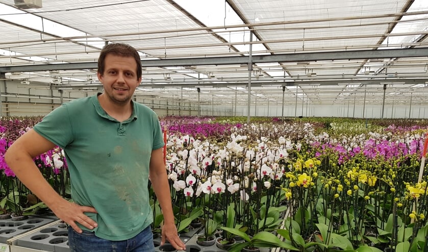 Gerben van Giessen wil uitbreiden met Butterfly Orchids.