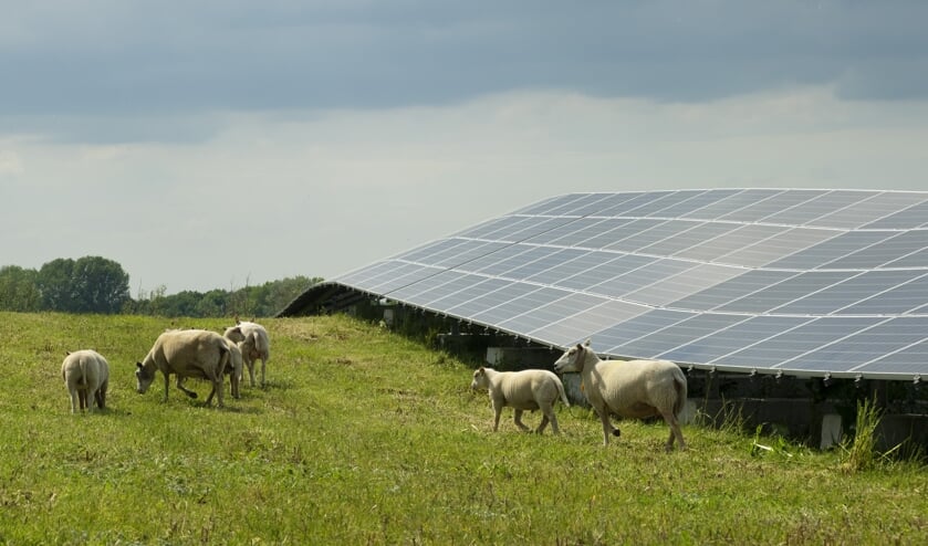 • Het zonnepark van Avri in Geldermalsen.