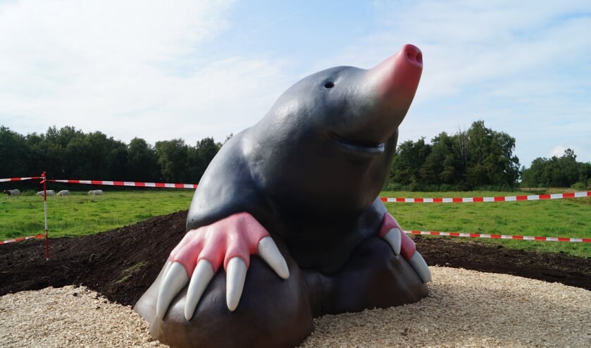 • De mol is achter de Hendrikshoeve geplaatst.