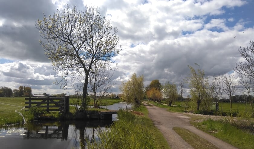 • De Kadijk in Bergambacht.