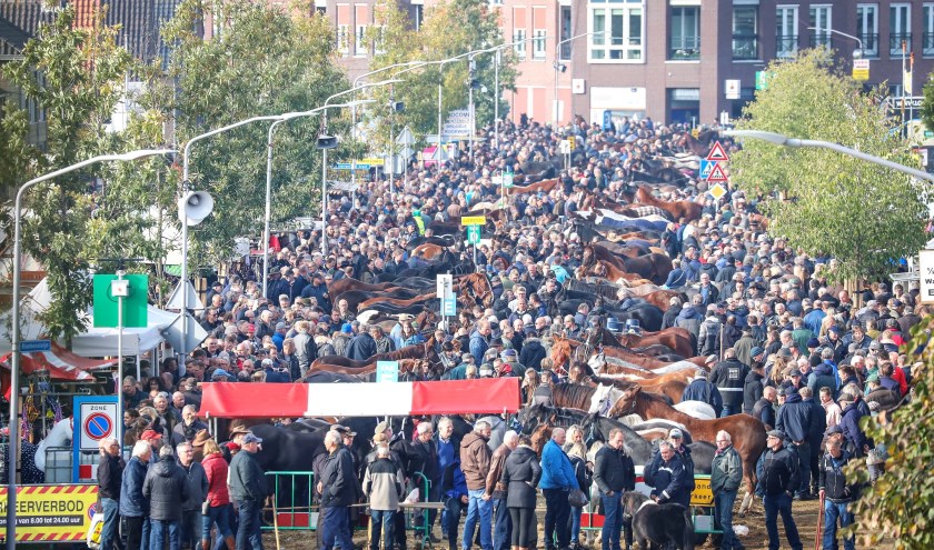 • Hedelse Paardenmarkt (2018).