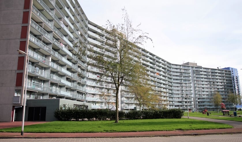 • Flats langs de Vijverlaan.