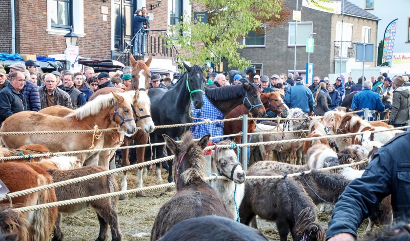 • De Hedelse Paardenmarkt vindt traditiegetrouw plaats op de eerste maandag van november.