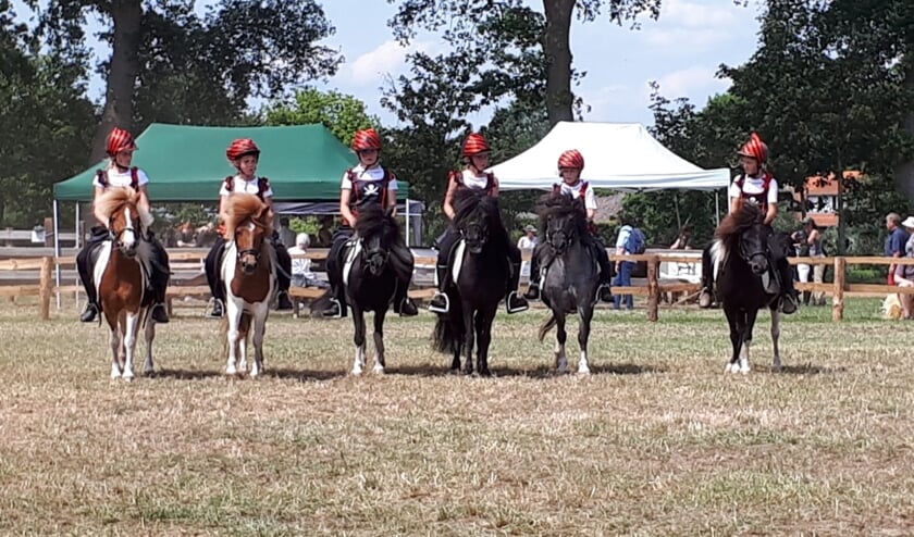 • Het showteam van De Bonte Shetlander Hoeve.